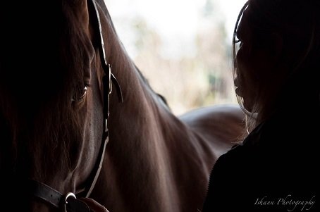 Communication Animale