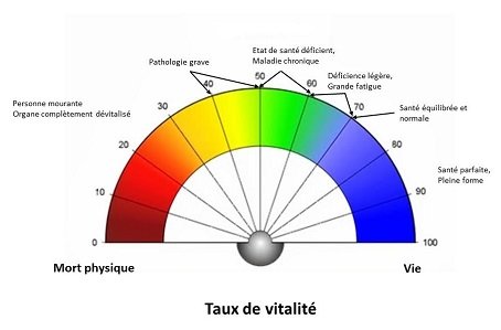 Taux de Vitalité